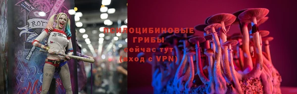 spice Балахна