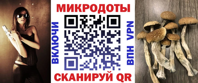 Галлюциногенные грибы Psilocybe  Купить  Джанкой 